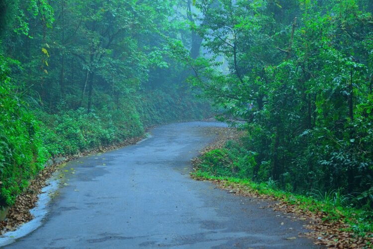 Dow hill in Kurseong has witnessed a plethora of paranormal activties which is why this hill station is known as being haunted