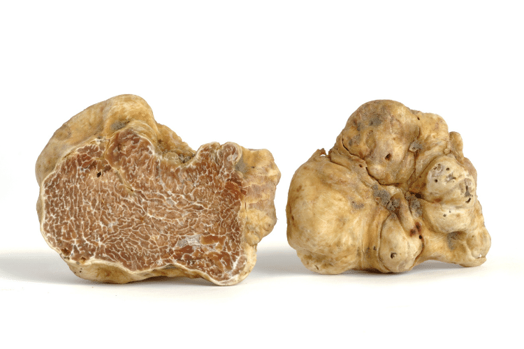 As they are very hard to find and due to their flavor, shape & color White Truffles are expensive