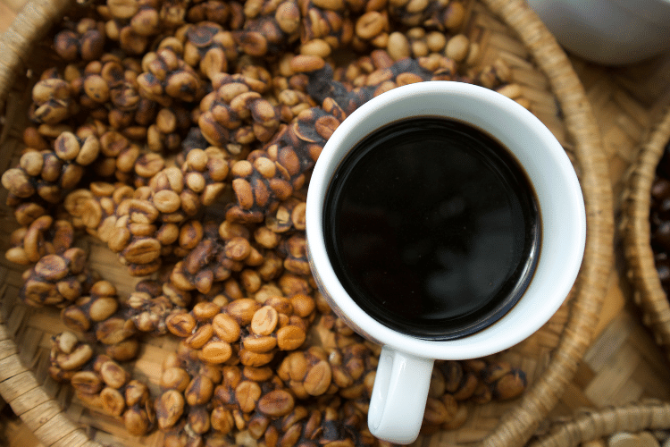 Kopi Luwak