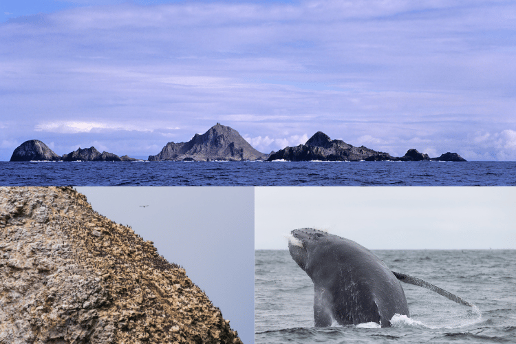 Farallon Island, US