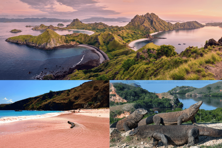 Komodo Island, Indonesia