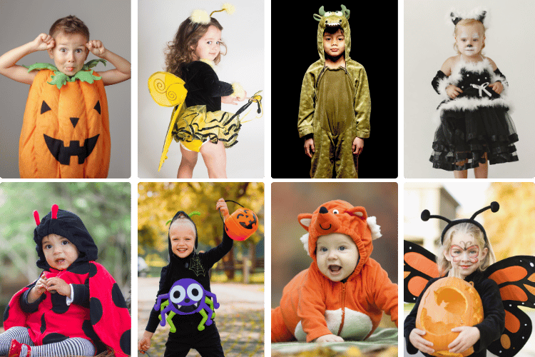 pumpkin, bumblebee, ladybug, dragon, black cat, spider, butterfly, animal costume