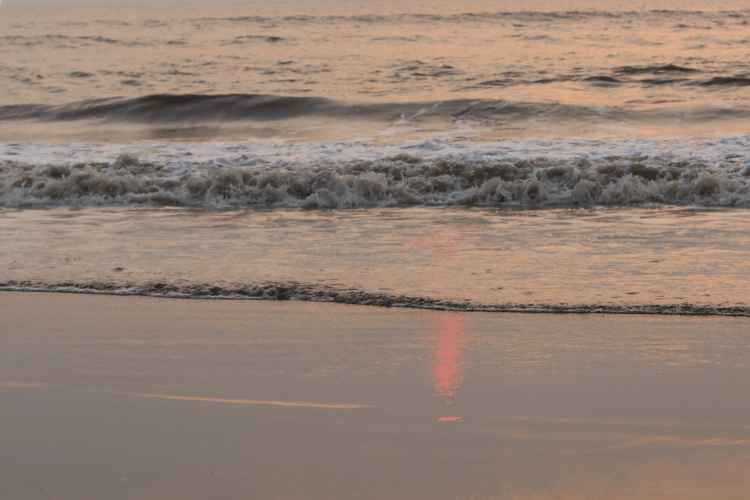 Dumas Beach, Surat, Gujarat